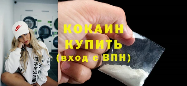 стафф Россошь
