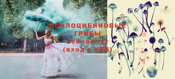 стафф Россошь