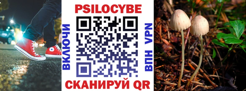 купить   мега tor  Псилоцибиновые грибы MAGIC MUSHROOMS  Будённовск 